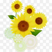 ÏòÈÕ¿û ÏÄ»¨ Ë®²Ê»-¿ÕÈôÍø ÏòÈÕ¿û ÏÄ»¨ Ë®²Ê»-¿ÕÈôÍø