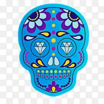 ���� ī���� ����-������