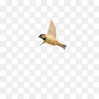 � �� ˮ��-������