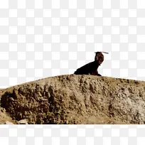 水彩 油漆 湿墨水-空若网 水彩 油漆 湿墨水-空若网