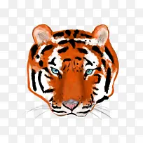 �ϻ� ���� ����-������