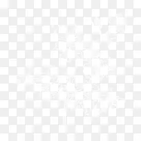 澳大利亚亚热带植物发芽播种-欧芹-空若网 澳大利亚亚热带植物发芽播种-欧芹-空若网