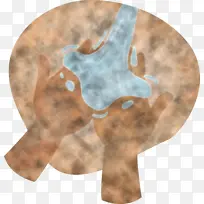 洗手 手卫生 生物学-空若网 洗手 手卫生 生物学-空若网