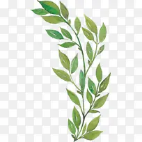 叶子 树枝 植物茎-空若网 叶子 树枝 植物茎-空若网