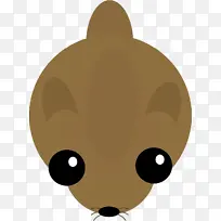 胡须 猫 鼻子-空若网 胡须 猫 鼻子-空若网