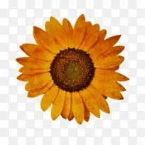 线条艺术 卡通 标志-空若网 线条艺术 卡通 标志-空若网