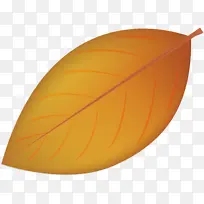 Ҷ�� ��ѧ ֲ��ṹ-������