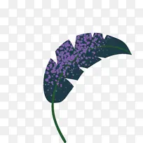 叶子 紫色 生物学-空若网 叶子 紫色 生物学-空若网