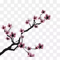 樱花画片艺术-樱花-空若网 樱花画片艺术-樱花-空若网