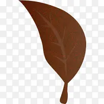 叶 科学 植物-空若网 叶 科学 植物-空若网