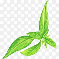 ���� Ҷ ֲ�ﾥ-������