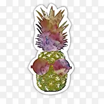 水果 花 植物-空若网 水果 花 植物-空若网