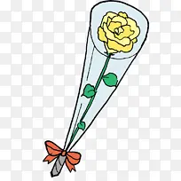 叶 线 植物-空若网 叶 线 植物-空若网