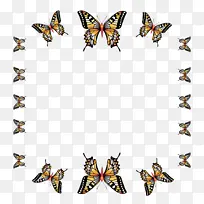 ������ ���� ����-������