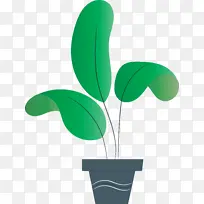 ��׿ ��׿�������� ֲ�ﾥ-������