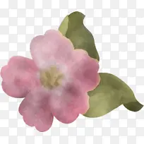 花 植物 科学-空若网 花 植物 科学-空若网