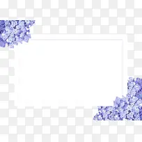 花卉设计 薰衣草 米-空若网 花卉设计 薰衣草 米-空若网