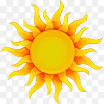 橙色 普通向日葵 花-空若网 橙色 普通向日葵 花-空若网