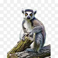 ���� ���� ����ѧ-������