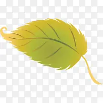 叶子 叶子蔬菜 水果-空若网 叶子 叶子蔬菜 水果-空若网