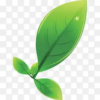 叶子 绿色 植物-空若网 叶子 绿色 植物-空若网