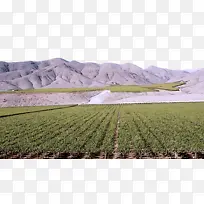 ÉÌÆ· ²Ý ¾°¹Û-¿ÕÈôÍø ÉÌÆ· ²Ý ¾°¹Û-¿ÕÈôÍø