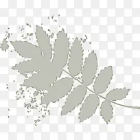 树枝 植物茎 叶-空若网 树枝 植物茎 叶-空若网