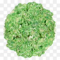 叶菜 沙拉 蔬菜-空若网 叶菜 沙拉 蔬菜-空若网