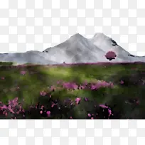 山景 植被 生态区-空若网 山景 植被 生态区-空若网