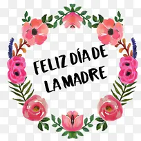 母亲节 博客 幸福-空若网 母亲节 博客 幸福-空若网