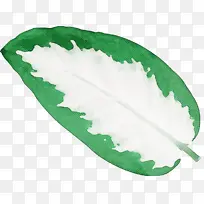 叶子 科学 生物学-空若网 叶子 科学 生物学-空若网