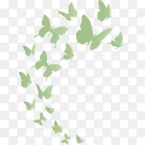 �������� �ɵ� ��֦-������