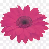 ʮ�ֻ��Ƴ����л���ɫ���-���޾�-������