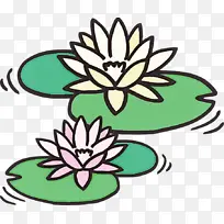 ���� ˮ�ʻ� �ͻ�-������