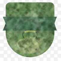 Ҷ�� ��ɫ ����ѧ-������