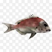 ���� ����ѧ ��ѧ-������