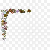 叶子 树枝 植物茎-空若网 叶子 树枝 植物茎-空若网