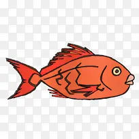 卡通 鱼 科学-空若网 卡通 鱼 科学-空若网