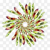 ˮ�� ���� ʪīˮ-������