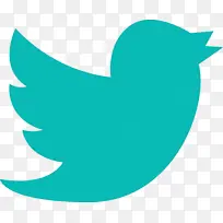 美国 博客 社交媒体-空若网 美国 博客 社交媒体-空若网