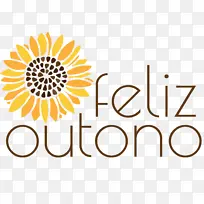 切花 黄色 线条-空若网 切花 黄色 线条-空若网