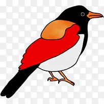 水彩 油漆 湿墨水-空若网 水彩 油漆 湿墨水-空若网