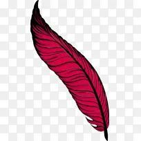 叶 线 生物学-空若网 叶 线 生物学-空若网