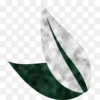 Ҷ�� ֲ�� ����ѧ-������