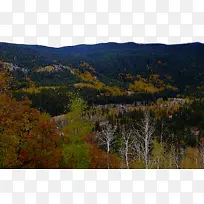 温带阔叶林和混交林 山景 植被-空若网 温带阔叶林和混交林 山景 植被-空若网