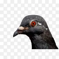 水彩 油漆 湿墨水-空若网 水彩 油漆 湿墨水-空若网