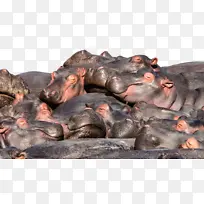 ���� ����ѧ ��ѧ-������