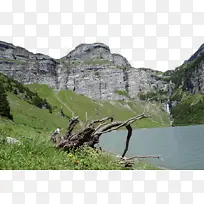 山景 峡湾 植物群落-空若网 山景 峡湾 植物群落-空若网