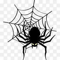 蜘蛛网 昆虫 植物茎-空若网 蜘蛛网 昆虫 植物茎-空若网