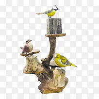 鸟类 生物学 科学-空若网 鸟类 生物学 科学-空若网